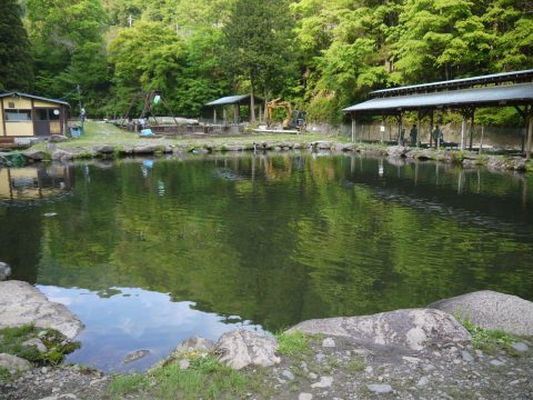 奈良子釣りセンター　池　フライフィッシング